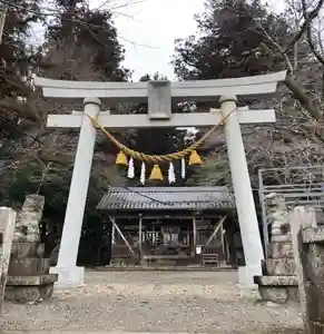 天鷹神社の鳥居(2022年04月01日(金) 17時08分25秒投稿)