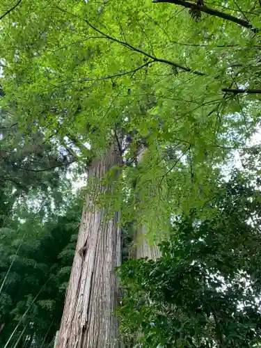 羽梨山神社(茨城県)