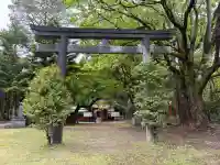 日枝神社の{uncategorized: "未分類", other: "その他", undefined: "問題あり", building: "その他建物", grave: "お墓", sacred_gate: "鳥居", guardian: "狛犬", statue: "像", buddha: "仏像", history: "歴史", nature: "自然", garden: "庭園", animal: "動物", pagoda: "塔", temizu: "手水舎", mountain_gate: "山門・神門", sanctuary: "本殿・本堂", subordinate: "末社・摂社", art: "芸術", scenery: "景色", jizo: "地蔵", ema: "絵馬", goshuin: "御朱印", omikuji: "おみくじ", items: "授与品その他", amulet: "お守り", goshuincho: "御朱印帳", eats: "食事", festival: "お祭り", votive_dance: "神楽", shichigosan: "七五三参", wedding: "結婚式", experience: "体験その他", initially: "初詣", around: "周辺", anti_infection: "感染症対策"}