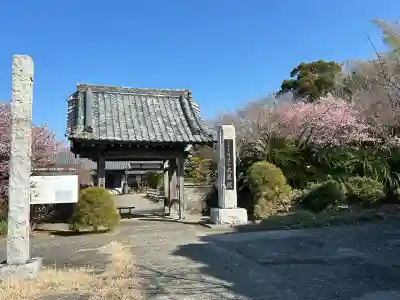 大巌院の{uncategorized: "未分類", other: "その他", undefined: "問題あり", building: "その他建物", grave: "お墓", sacred_gate: "鳥居", guardian: "狛犬", statue: "像", buddha: "仏像", history: "歴史", nature: "自然", garden: "庭園", animal: "動物", pagoda: "塔", temizu: "手水舎", mountain_gate: "山門・神門", sanctuary: "本殿・本堂", subordinate: "末社・摂社", art: "芸術", scenery: "景色", jizo: "地蔵", ema: "絵馬", goshuin: "御朱印", omikuji: "おみくじ", items: "授与品その他", amulet: "お守り", goshuincho: "御朱印帳", eats: "食事", festival: "お祭り", votive_dance: "神楽", shichigosan: "七五三参", wedding: "結婚式", experience: "体験その他", initially: "初詣", around: "周辺", anti_infection: "感染症対策"}