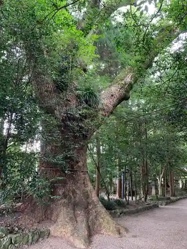比木神社の自然