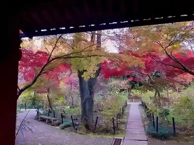 本土寺(千葉県)