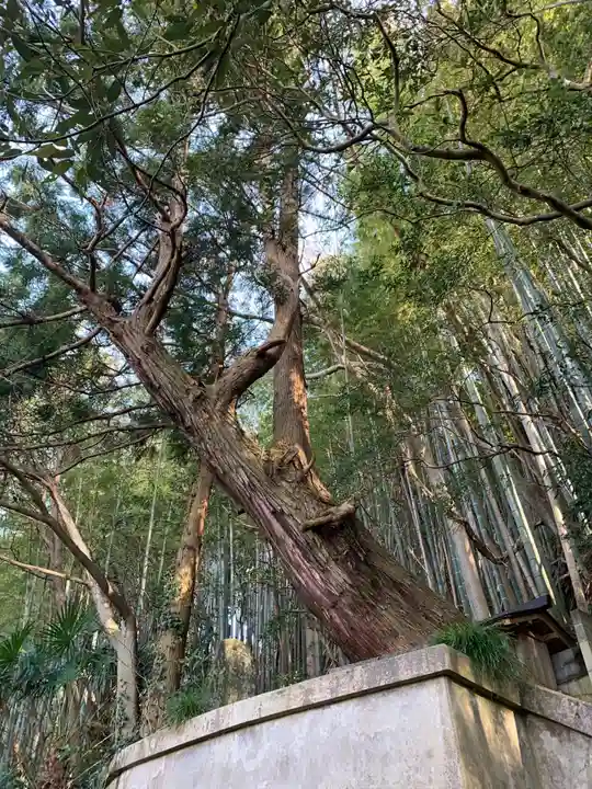 波除不動尊(千葉県)
