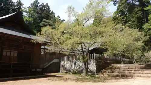 土津神社｜こどもと出世の神さま(福島県)