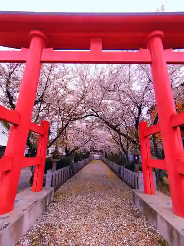 八幡社（毛受）の鳥居
