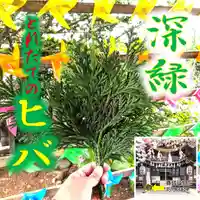 七重浜海津見神社(北海道)