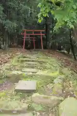 鹿児島神宮の鳥居