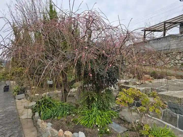 円照寺(兵庫県)