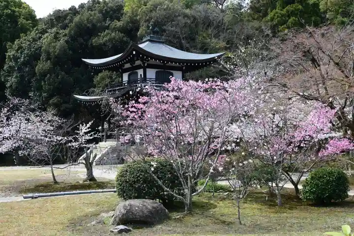 勧修寺(京都府)