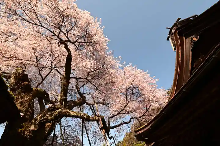 清浄心院(和歌山県)