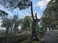 猪上神社(奈良県)