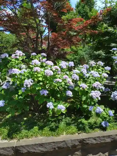 寛永寺(根本中堂)(東京都)
