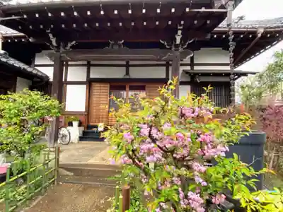 加納院の本殿・本堂