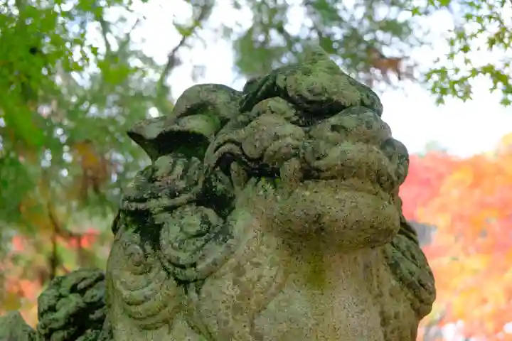 鍬山神社の狛犬
