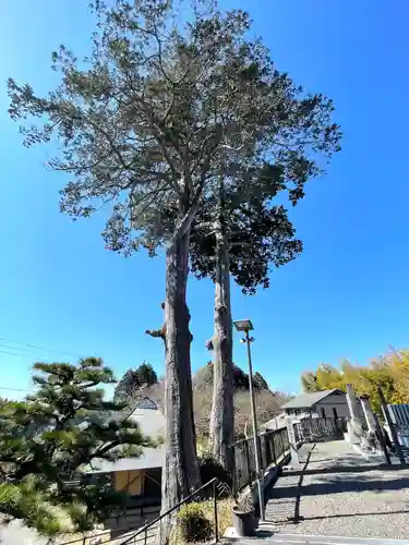 祐宝寺(滋賀県)