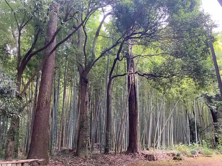 逢善寺(茨城県)