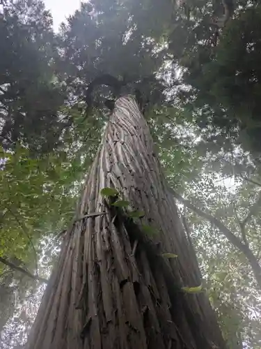 八幡神社(千葉県)