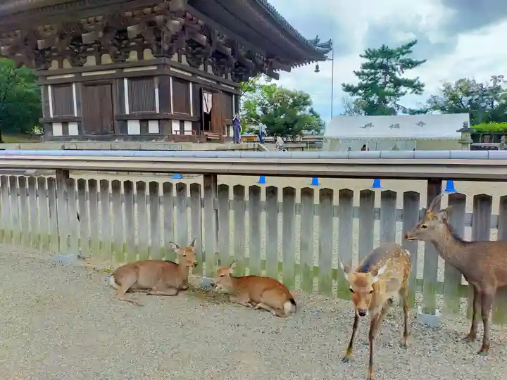 春日大社(奈良県)