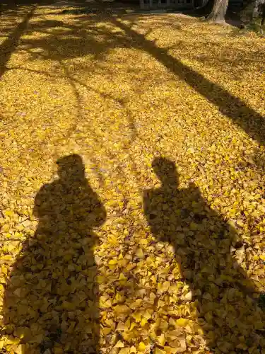 日吉神社(山口県)