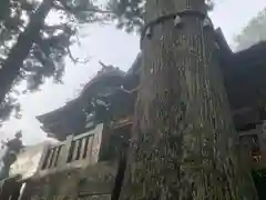 三峯神社(埼玉県)