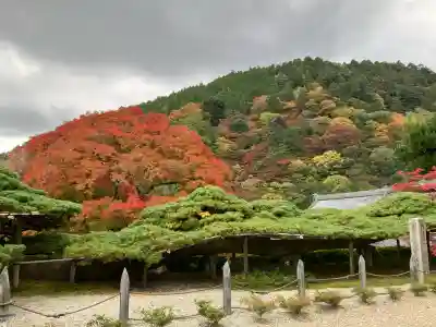 善峯寺(京都府)