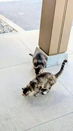 白金氷川神社の動物