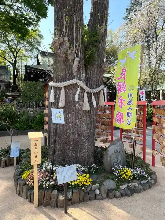 川越八幡宮(埼玉県)