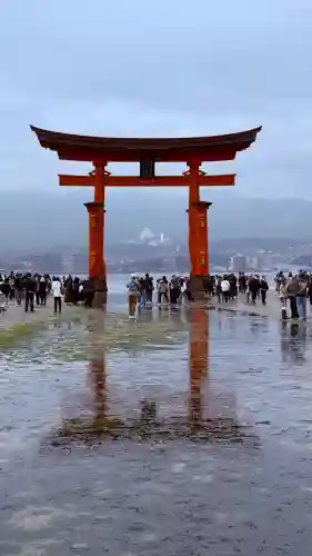 厳島神社の{uncategorized: "未分類", other: "その他", undefined: "問題あり", building: "その他建物", grave: "お墓", sacred_gate: "鳥居", guardian: "狛犬", statue: "像", buddha: "仏像", history: "歴史", nature: "自然", garden: "庭園", animal: "動物", pagoda: "塔", temizu: "手水舎", mountain_gate: "山門・神門", sanctuary: "本殿・本堂", subordinate: "末社・摂社", art: "芸術", scenery: "景色", jizo: "地蔵", ema: "絵馬", goshuin: "御朱印", omikuji: "おみくじ", items: "授与品その他", amulet: "お守り", goshuincho: "御朱印帳", eats: "食事", festival: "お祭り", votive_dance: "神楽", shichigosan: "七五三参", wedding: "結婚式", experience: "体験その他", initially: "初詣", around: "周辺", anti_infection: "感染症対策"}