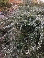 大生郷天満宮の自然