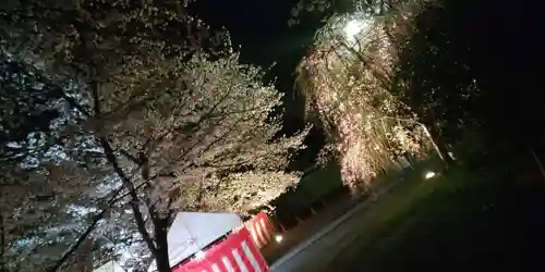 平野神社(京都府)