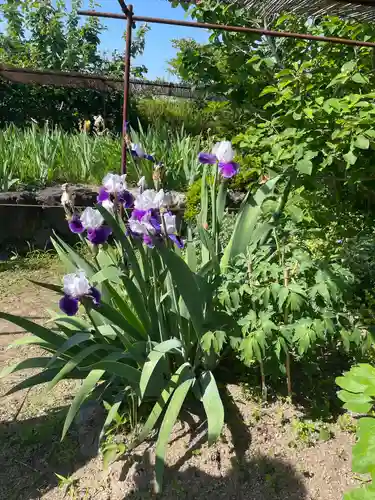 金剛寺(奈良県)
