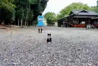 八幡社(柏井町)の動物