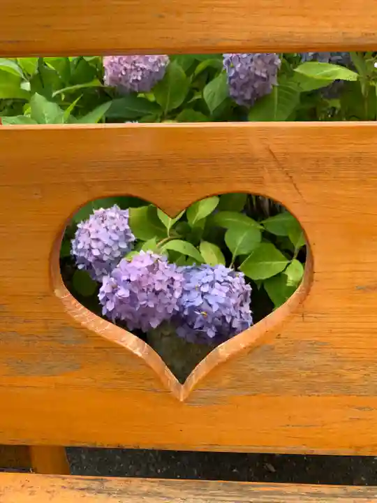 柳谷観音 楊谷寺の自然