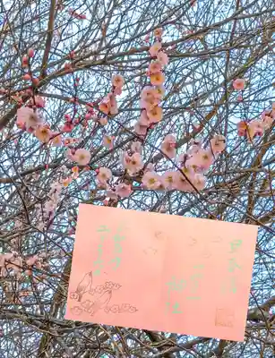 令和5年 2月 色和紙限定御朱印『早春詣』