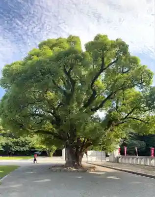 福岡縣護國神社(福岡県)