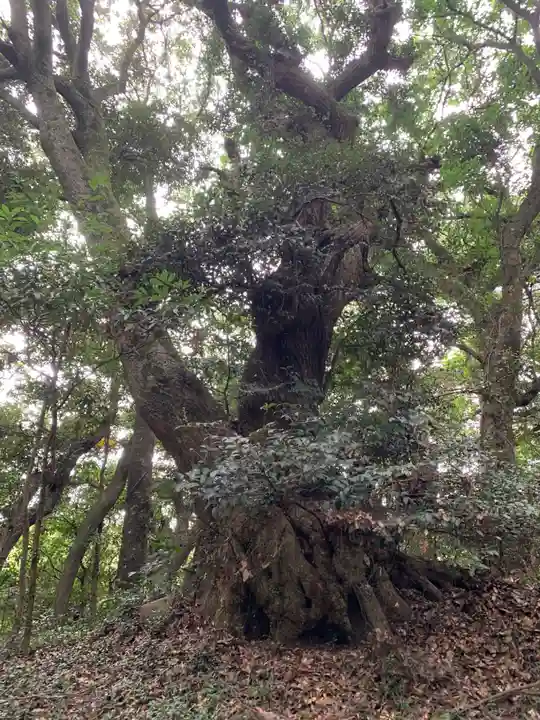 稲荷神社(千葉県)