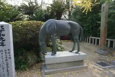 宮地嶽神社の狛犬