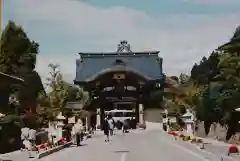 照蓮寺の建物その他