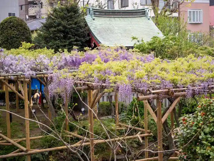亀戸天神社(東京都)