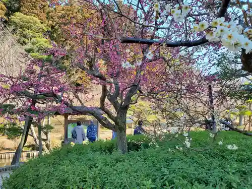 常磐神社(茨城県)
