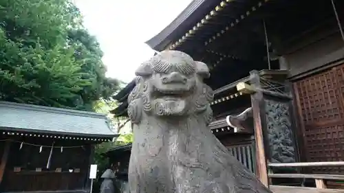 赤羽八幡神社の狛犬