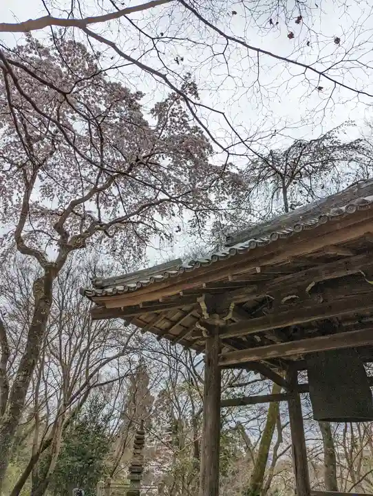 勝持寺(花の寺)(京都府)