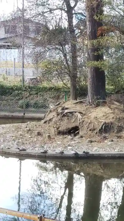 境香取神社の庭園