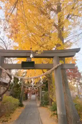 越谷香取神社の鳥居