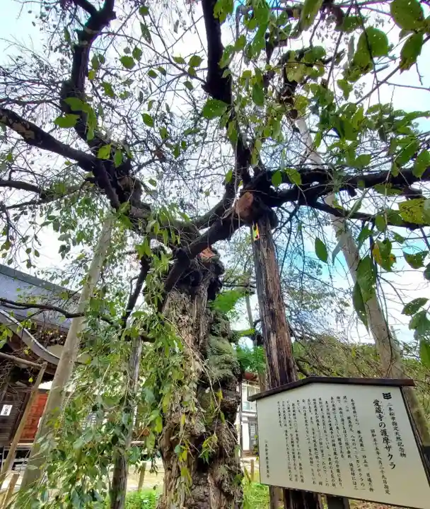 愛蔵寺(福島県)
