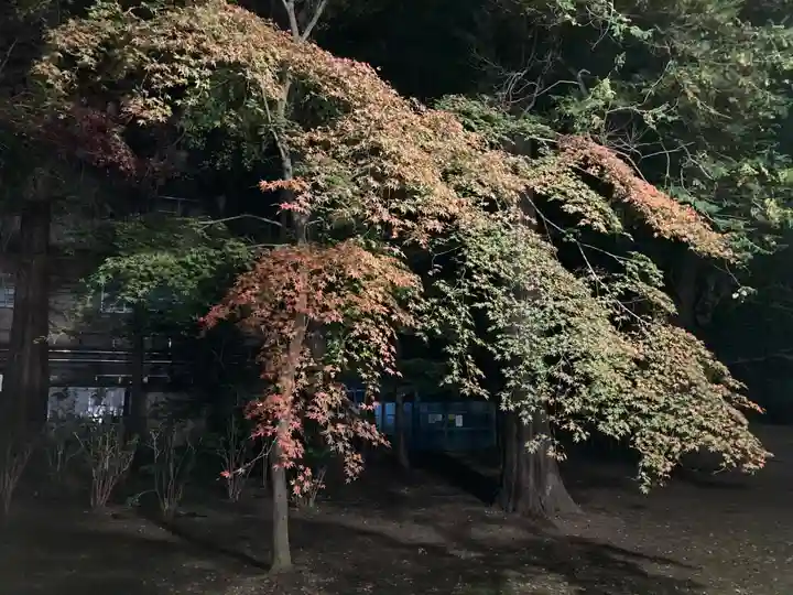 東漸寺(千葉県)