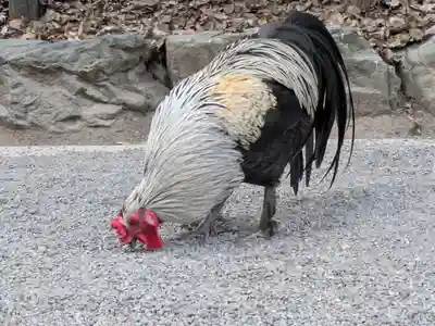 熱田神宮(愛知県)