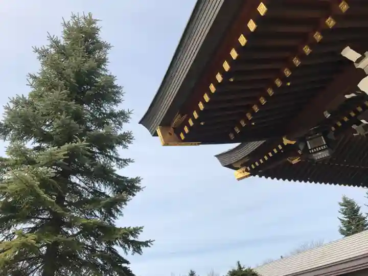 美瑛神社の本殿・本堂