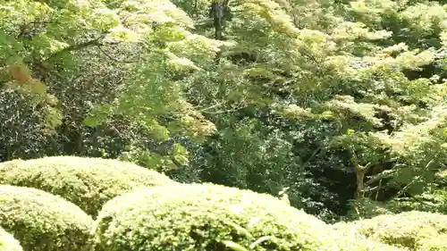 詩仙堂（丈山寺）(京都府)