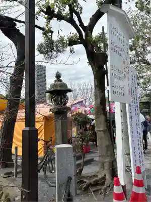 寛永寺不忍池弁天堂の自然